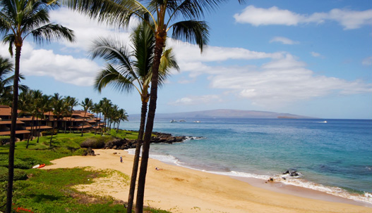 Condo Vacation Accommodations